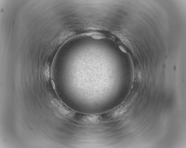 X0000087030479200704161615
