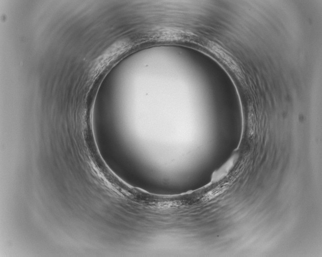X0000087030485200704161614