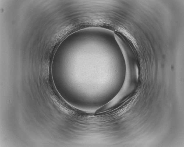 X0000087030493200704161614
