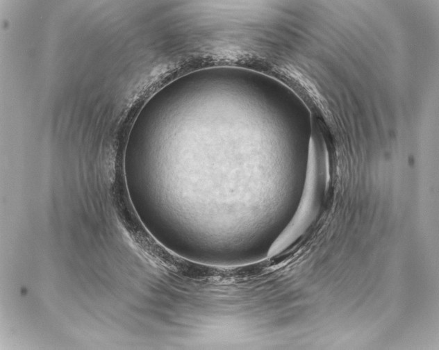 X0000087030496200704161614