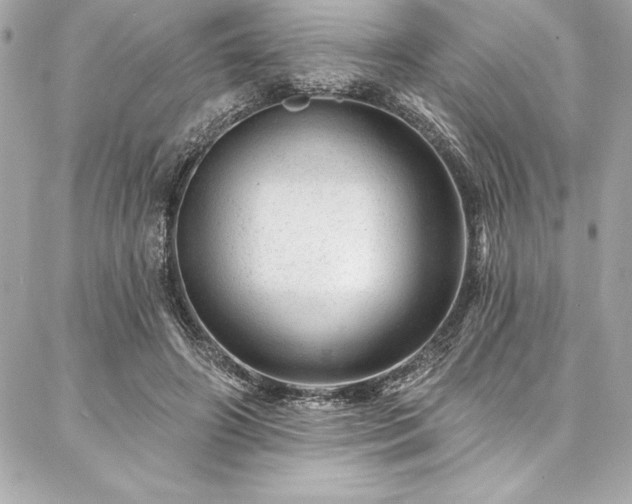 X0000087030498200704161614