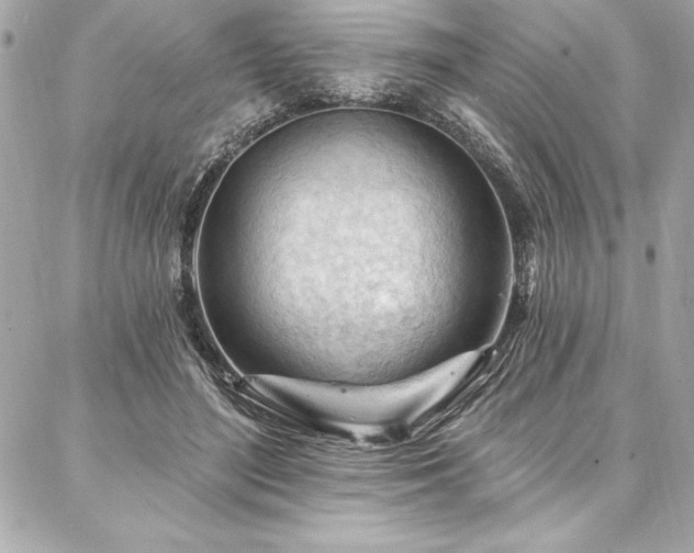 X0000087030500200704161614