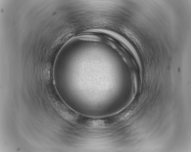 X0000087030501200704161614