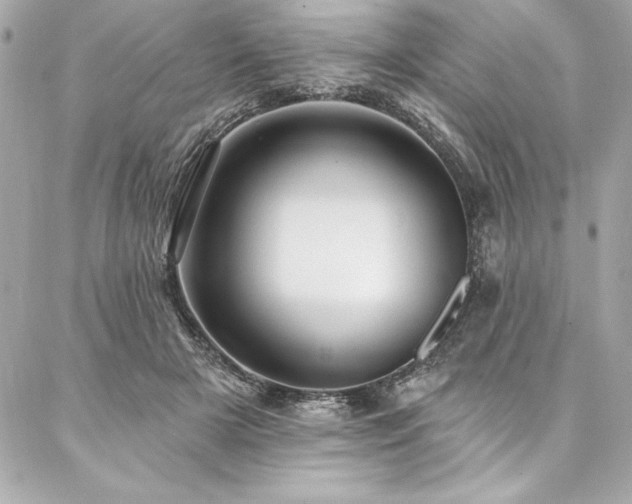X0000087030505200704161614