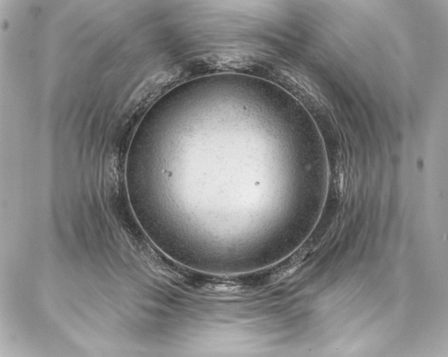 X0000087030506200704161614