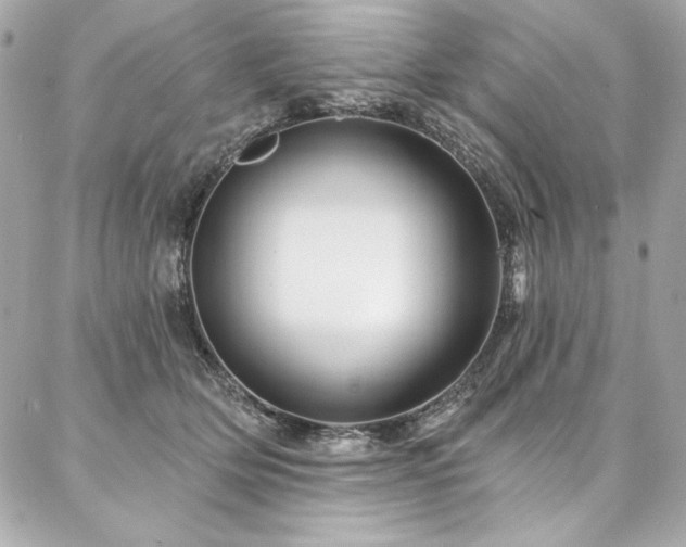 X0000087030514200704161614
