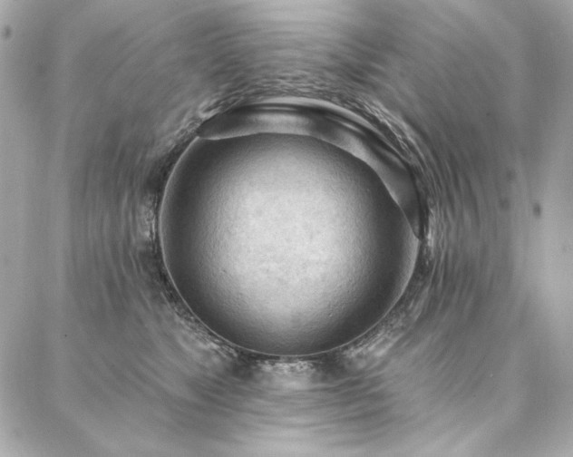 X0000087030517200704161614