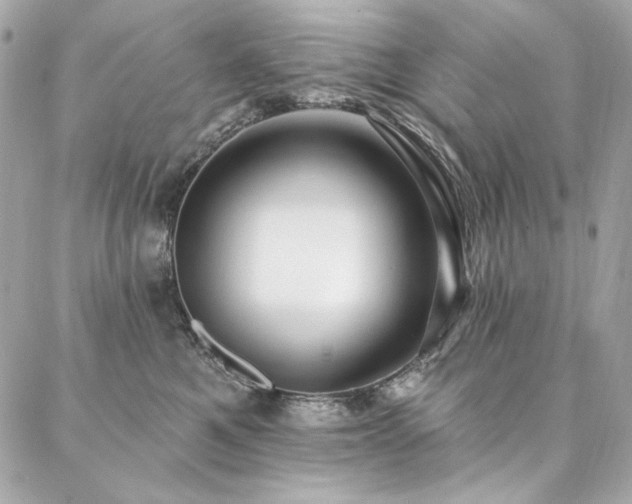 X0000087030521200704161614