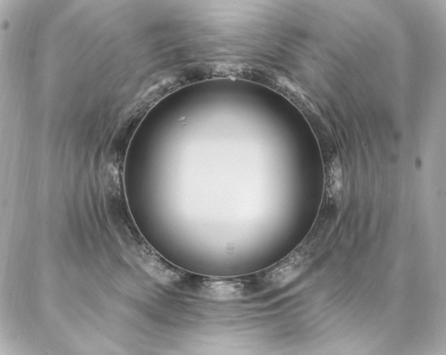 X0000087030522200704161614