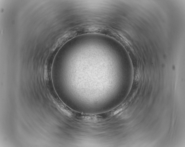 X0000087030524200704161614