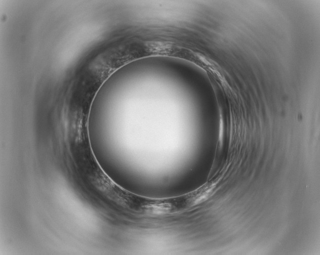 X0000087030525200704161614