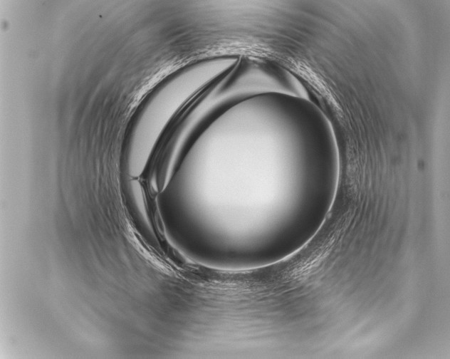 X0000087030530200704161613