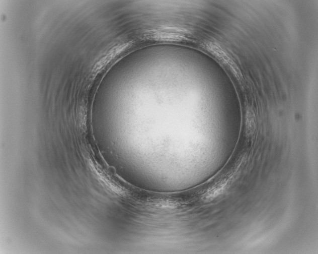 X0000087030533200704161613