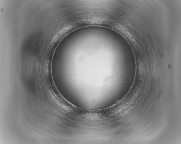 X0000087030537200704161613