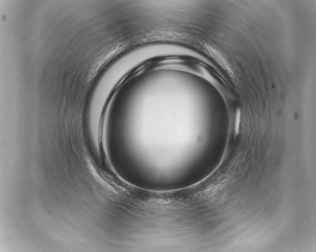 X0000087030538200704161613