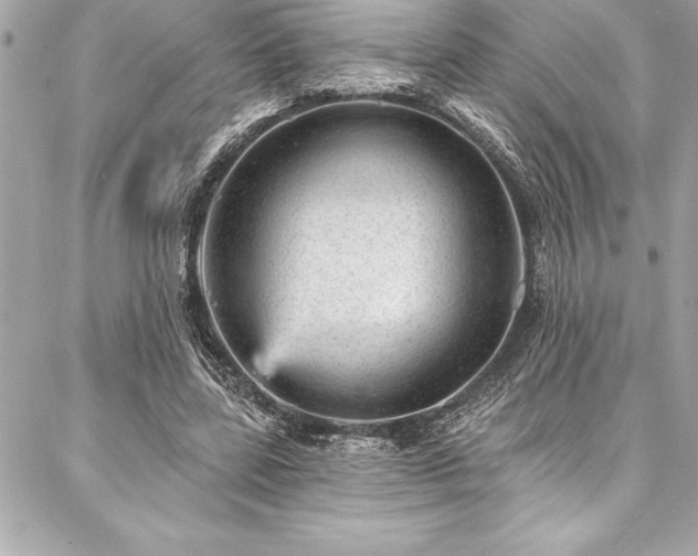 X0000087030539200704161613