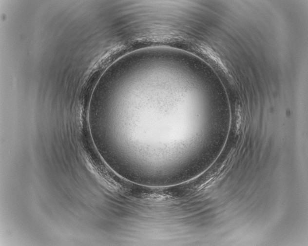 X0000087030542200704161613