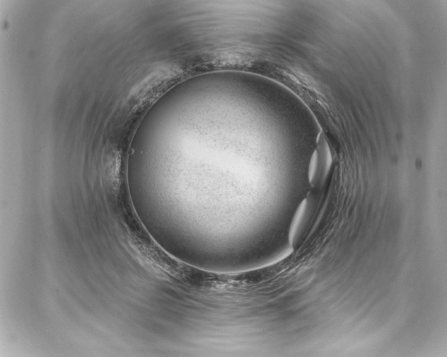 X0000087030550200704161613