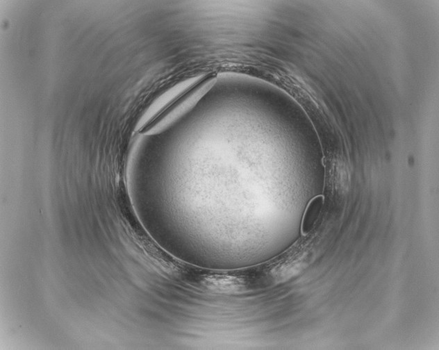 X0000087030557200704161613