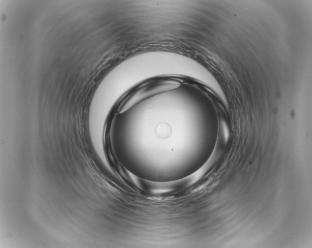 X0000087030558200704161613