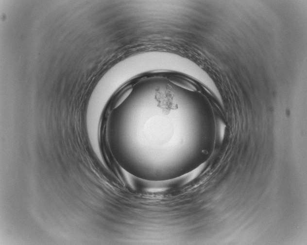 X0000087030562200704161613