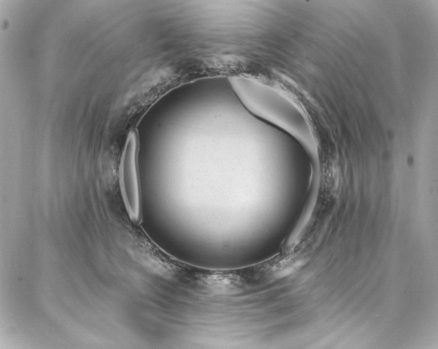 X0000087030566200704161613