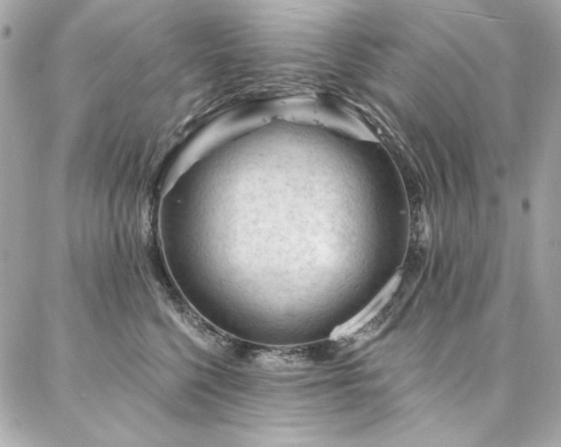 X0000087030568200704161613
