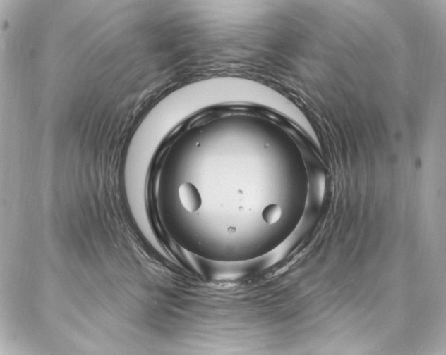 X0000087030570200704161613
