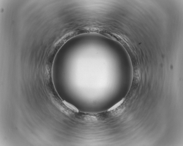 X0000087030572200704161613