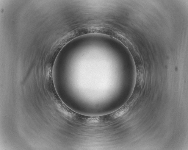 X0000087030574200704161613