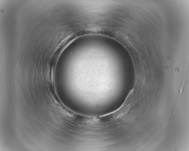 X0000087030576200704161613
