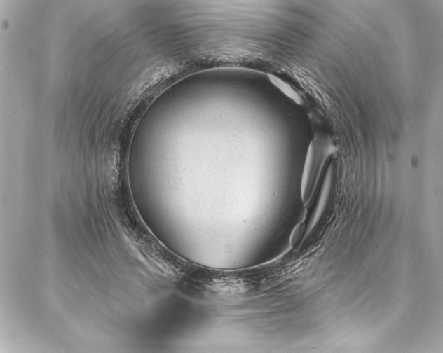 X0000087030591200704161612
