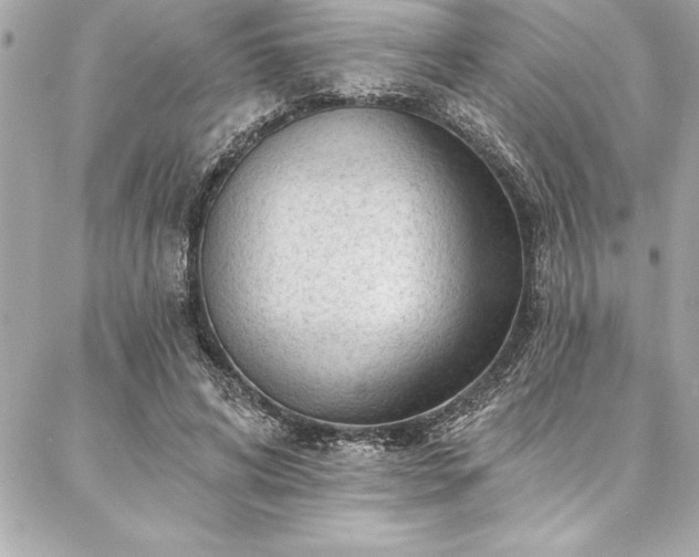 X0000087030592200704161612