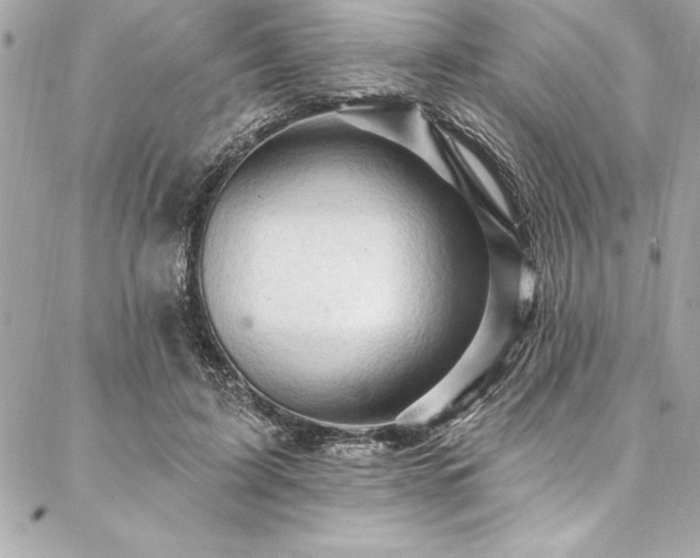 X0000087030595200704161612
