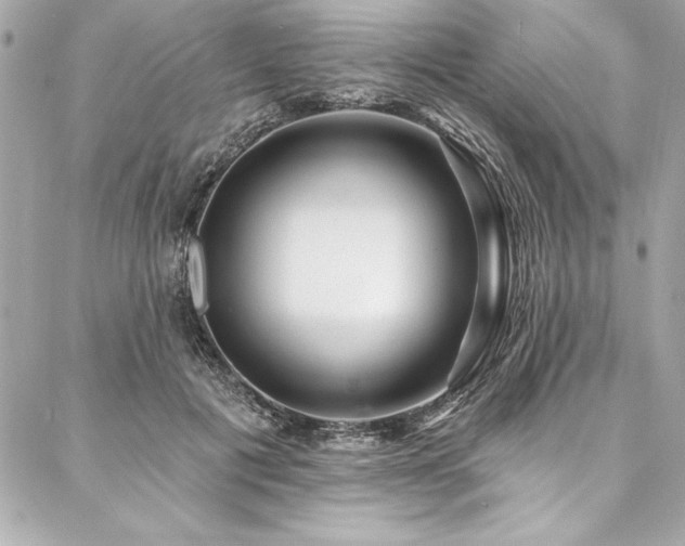 X0000087030601200704161612