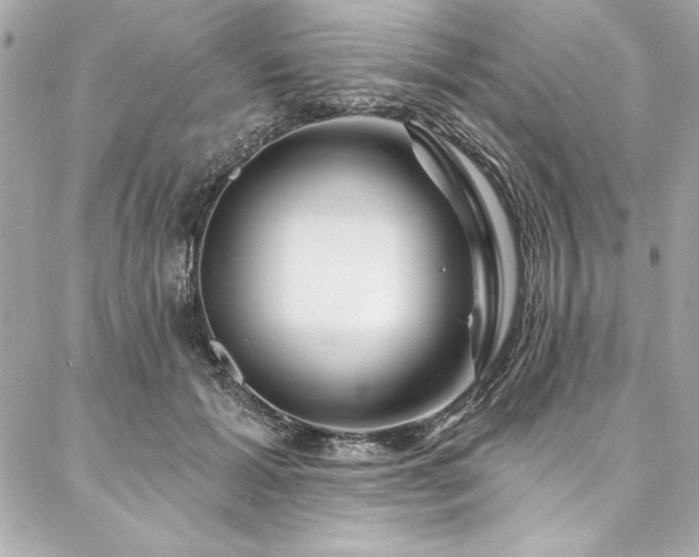 X0000087030605200704161612