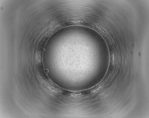 X0000087030606200704161612