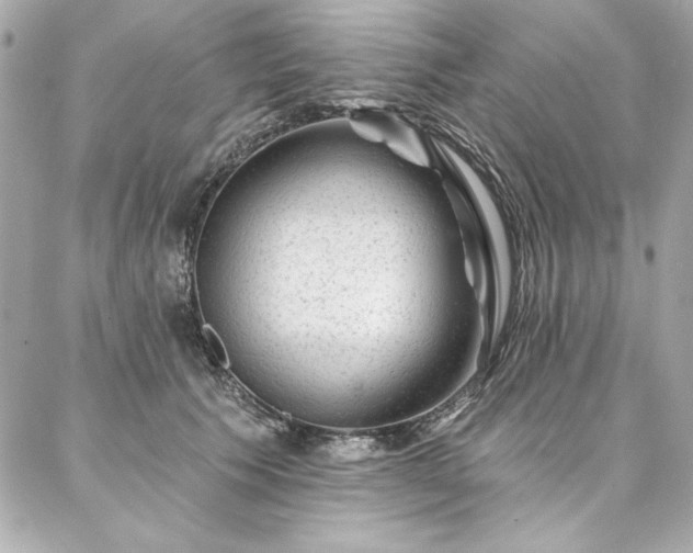 X0000087030609200704161612