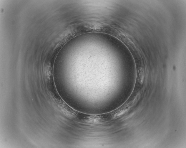 X0000087030612200704161612