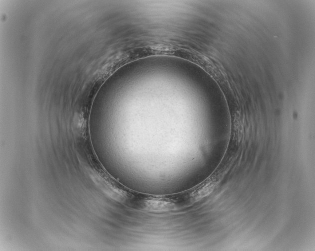 X0000087030614200704161612