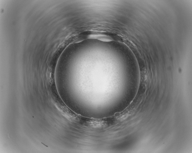 X0000087030615200704161612