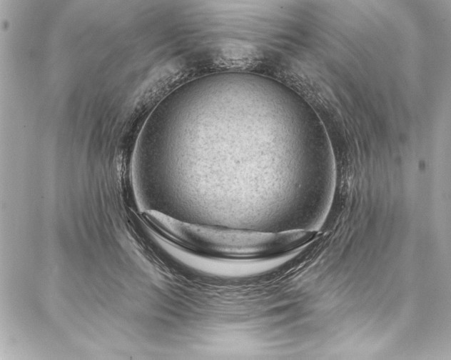 X0000087030647200704161612