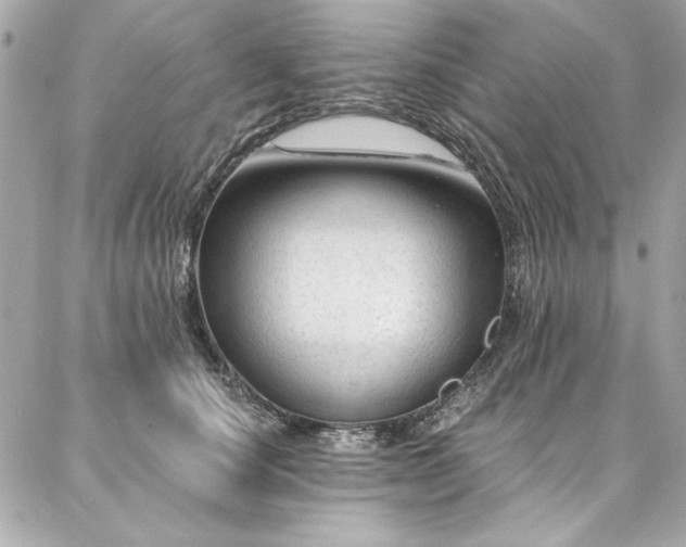 X0000087030660200704161612