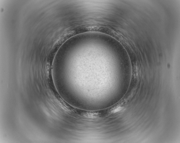 X0000087030664200704161612