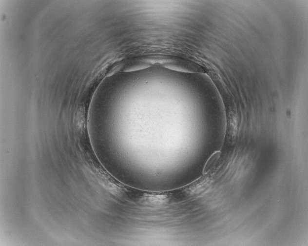 X0000087030665200704161612