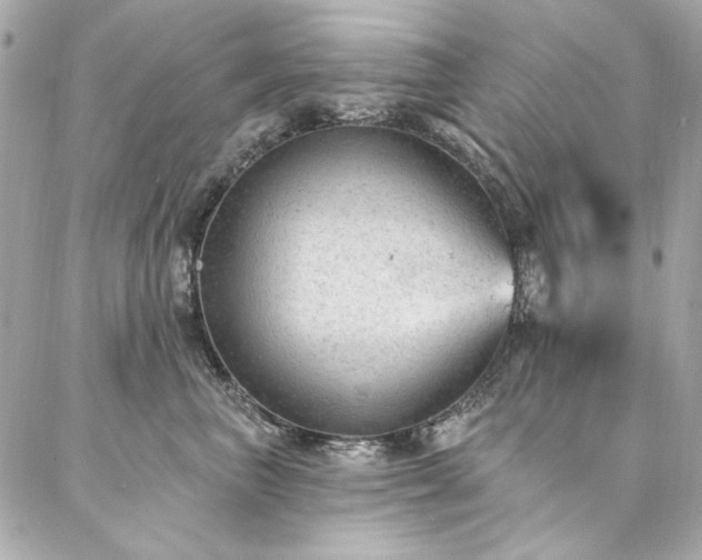 X0000087030667200704161612