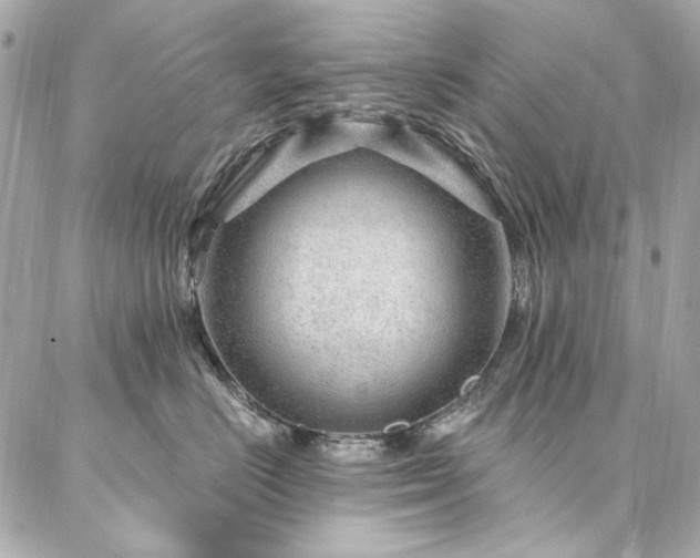 X0000087030670200704161612