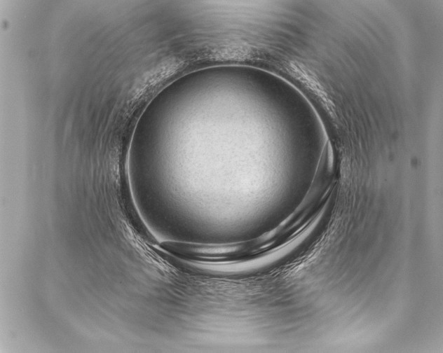 X0000087030681200704161611