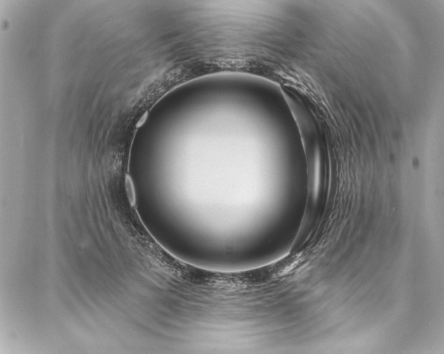 X0000087030697200704161611