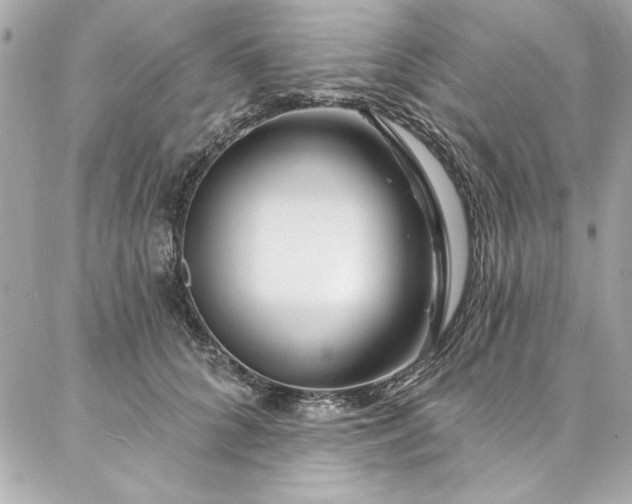 X0000087030704200704161611